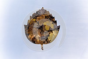 White paper with cutout leaf shape inside. Autumn golden dry leaves on background. Change, ecology, earth