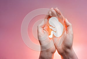 White paper embryo silhouette in woman hands on the right side. Pink and violet background. Pregnancy, contraceptive and abortion