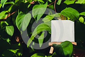 White paper empty copy space for advertisement on farm harvesting background of eco-friendly sustainable growth green