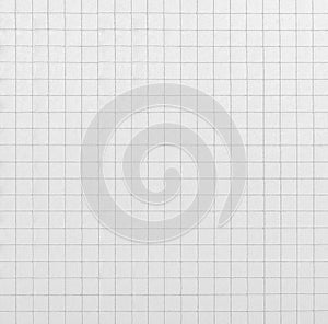 White Paper exercise book into a cage