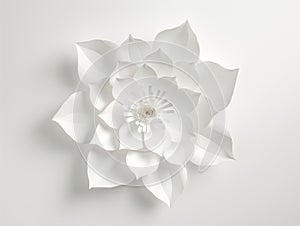 white paper flowers wallpaper on white background, spring summer background, floral design elements