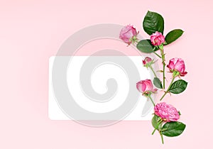 White paper frame with pink rose flowers. Blank white card with pink roses and green leaves on a pink background. Flat lay, top