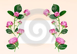 White paper frame with pink rose flowers. Blank white card with pink roses and green leaves on a orange background. Flat lay, top