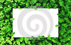 White paper on green leaf background with center free space for montage text or product.