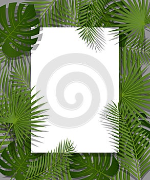 White paper on green summer tropical background with exotic palm leaves and plant. Vector floral design