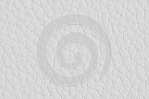 White paper with leather texture for background