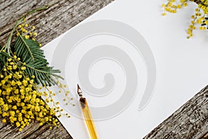 White paper mock up with yellow flowers mimosas and vintage pen ink on grey wooden background