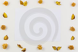 White paper sheet surrounded by yellow dried flowers, plants border frame on white background. Top view, flat lay.