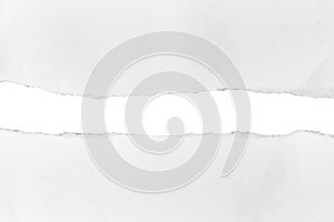 White paper tear, isolated on white