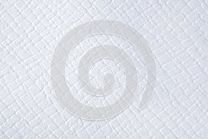 White paper texture with embossing and stamping