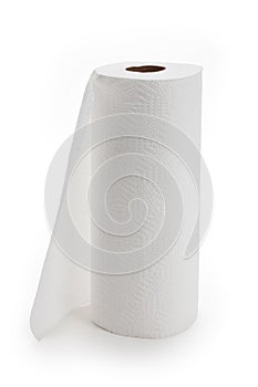 White paper towel roll photo