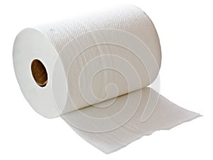 White paper towel roll