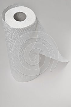 White paper towel roll