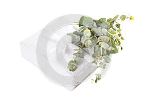 White paper wrapped gift box with green leaves decoration