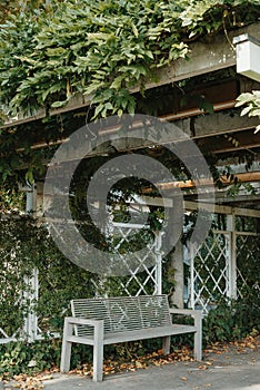 White Park Bench With Stone Wall And Green Leaves Of The Ivy In Quiet Environment. Old Grey Rustic Wooden Bench In Ivy