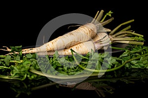 White parsley root isolated on black glass