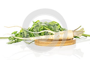 White parsley root isolated on white