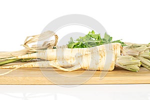 White parsley root isolated on white