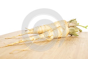 White parsley root isolated on white