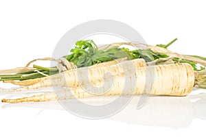 White parsley root isolated on white