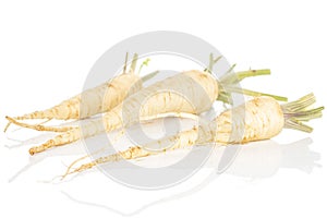 White parsley root isolated on white