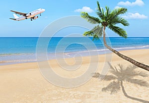 White passenger airplane landing above blue sea with coconut palm tree