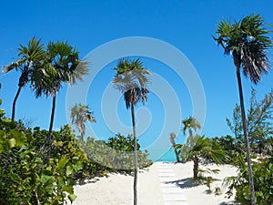 A white path leads to the sea in Turks and Caicos