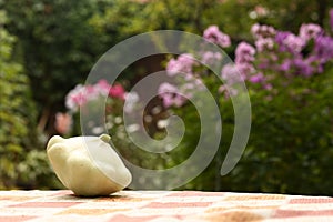 White patisson bush pumpkin close up photo on green vegetable garden background