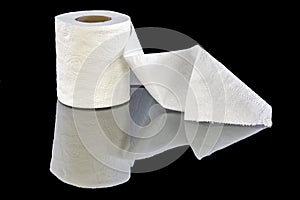 White patterned toilet paper in a roll