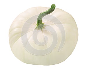 White Pattypan squash Cucurbita pepo fruit  isolated