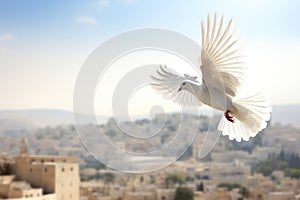 A white peace dove flying against a blue sky above a middle east city