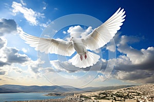 A white peace dove flying against a blue sky above a middle east city