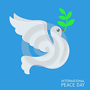 White Peace dove with olive branch for International Peace Day poster on blue sky abckground