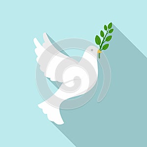 White peace pigeon icon, flat style