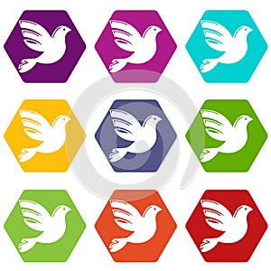 White peace pigeon icons set 9 vector