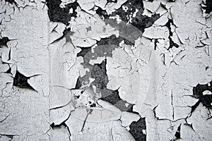White pealing paint,texture