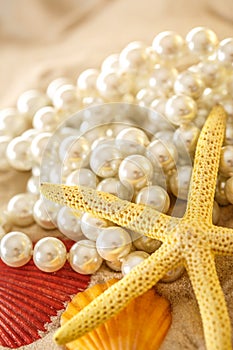 White pearl and seashells on sand
