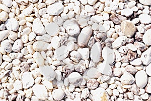 White Pebble beach stone background