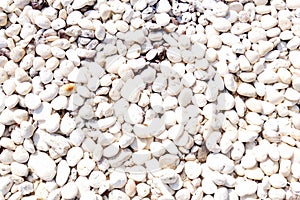 White Pebble stone background nature beauty.