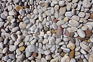 White pebble stone texture