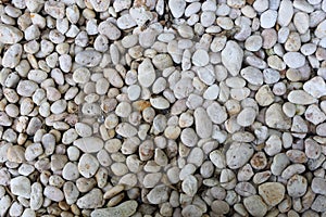 White pebble stone texture on the ground.