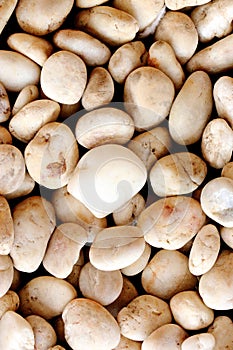 White pebbles background