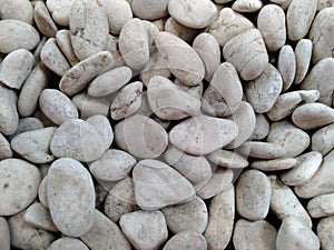 White pebbles in the front yard of the house