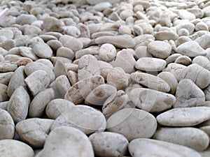 White pebbles in the front yard of the house