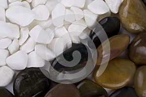 White Pebbles, Polished Rocks