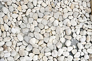 White pebbles on the shower floor