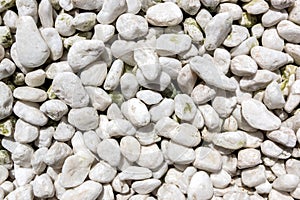 White Pebbles in The Sunshine for Background