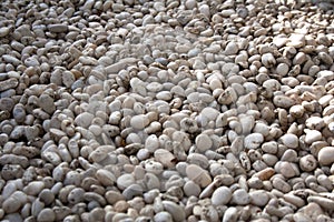 White pebbles texture close up