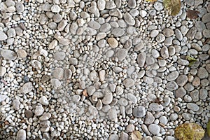 White pebbles texture top view