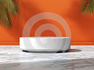 Minimalist Product Display